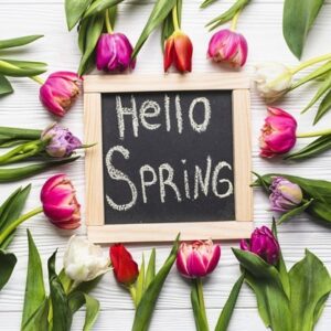 Какие китайские товары пользовались популярностью весной 2019 года