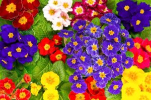 Что заказывали на Таобао весной 2018 года