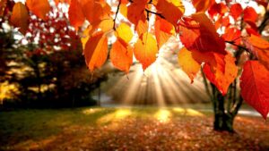 Что заказывали на Таобао/1688 осенью 2018 года